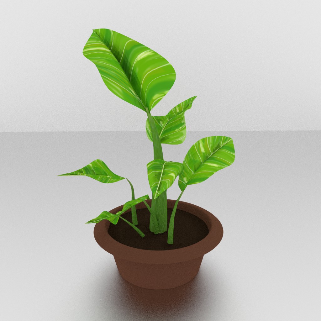 Dieffenbachia plant preview image 1